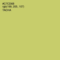 #C7CD6B - Tacha Color Image