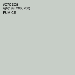 #C7CEC8 - Pumice Color Image