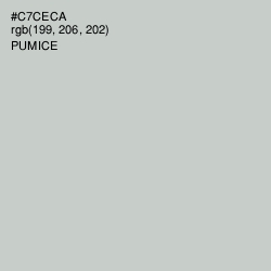 #C7CECA - Pumice Color Image