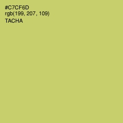 #C7CF6D - Tacha Color Image