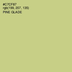 #C7CF87 - Pine Glade Color Image
