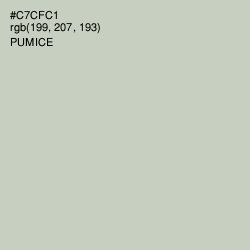 #C7CFC1 - Pumice Color Image