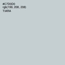 #C7D0D0 - Tiara Color Image