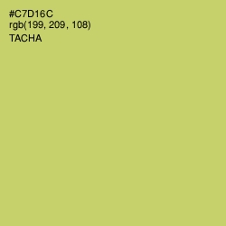 #C7D16C - Tacha Color Image