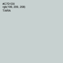 #C7D1D0 - Tiara Color Image