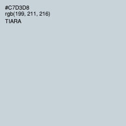 #C7D3D8 - Tiara Color Image