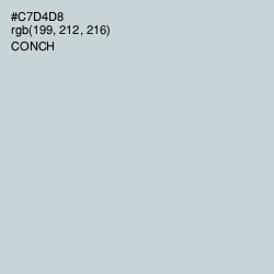 #C7D4D8 - Conch Color Image
