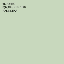 #C7D8BC - Pale Leaf Color Image