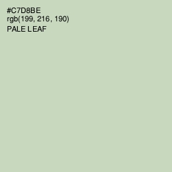 #C7D8BE - Pale Leaf Color Image