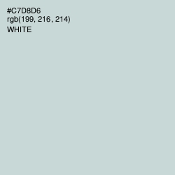#C7D8D6 - Conch Color Image