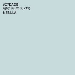 #C7DADB - Nebula Color Image