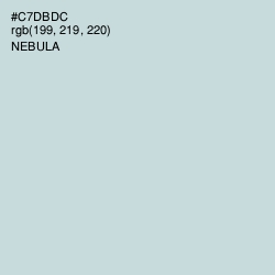 #C7DBDC - Nebula Color Image