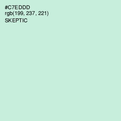 #C7EDDD - Skeptic Color Image
