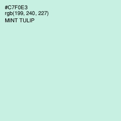 #C7F0E3 - Mint Tulip Color Image