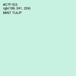 #C7F1E0 - Mint Tulip Color Image