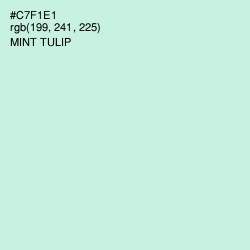 #C7F1E1 - Mint Tulip Color Image