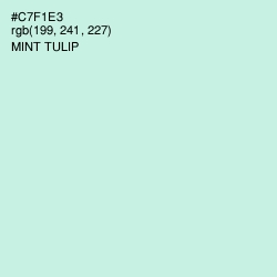 #C7F1E3 - Mint Tulip Color Image