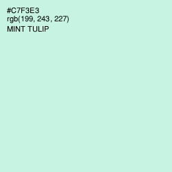 #C7F3E3 - Mint Tulip Color Image