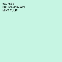 #C7F5E3 - Mint Tulip Color Image