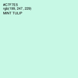 #C7F7E5 - Mint Tulip Color Image