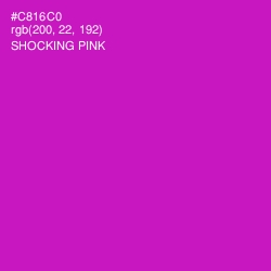 #C816C0 - Shocking Pink Color Image