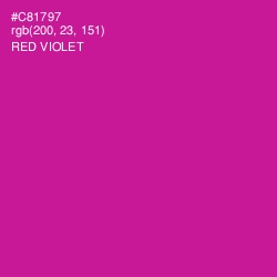 #C81797 - Red Violet Color Image