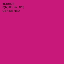 #C8197B - Cerise Red Color Image