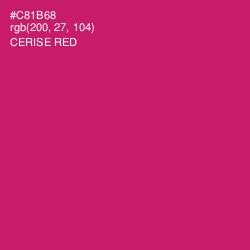 #C81B68 - Cerise Red Color Image