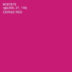 #C81B76 - Cerise Red Color Image