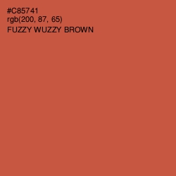 #C85741 - Fuzzy Wuzzy Brown Color Image