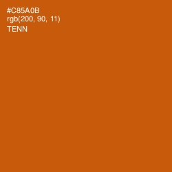 #C85A0B - Tenn Color Image