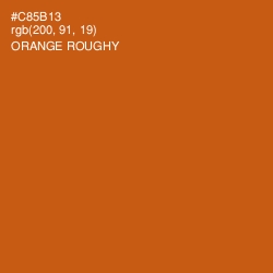 #C85B13 - Orange Roughy Color Image