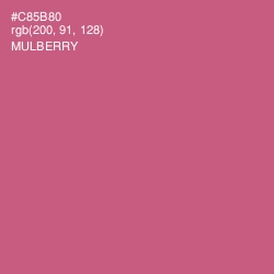 #C85B80 - Mulberry Color Image