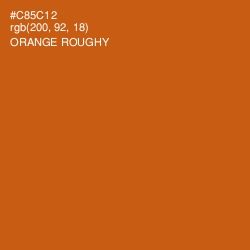 #C85C12 - Orange Roughy Color Image