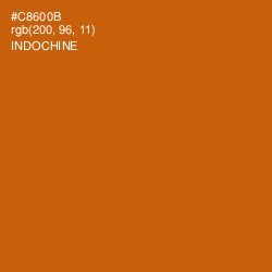 #C8600B - Indochine Color Image