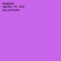 #C865EA - Heliotrope Color Image