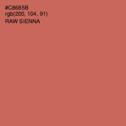 #C8685B - Raw Sienna Color Image