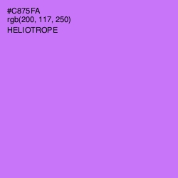 #C875FA - Heliotrope Color Image