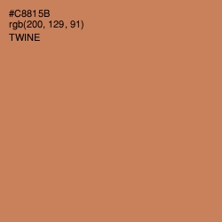 #C8815B - Twine Color Image