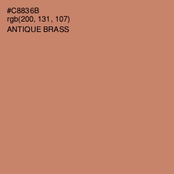 #C8836B - Antique Brass Color Image
