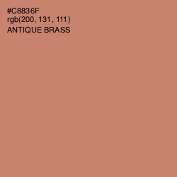 #C8836F - Antique Brass Color Image