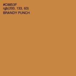 #C8853F - Brandy Punch Color Image