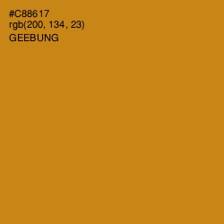 #C88617 - Geebung Color Image