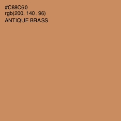 #C88C60 - Antique Brass Color Image