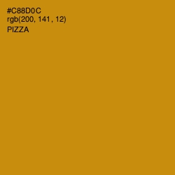 #C88D0C - Pizza Color Image