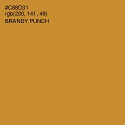 #C88D31 - Brandy Punch Color Image