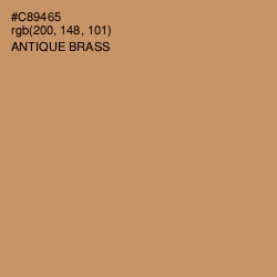 #C89465 - Antique Brass Color Image