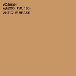 #C89664 - Antique Brass Color Image
