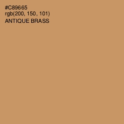 #C89665 - Antique Brass Color Image