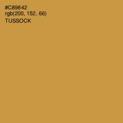 #C89842 - Tussock Color Image
